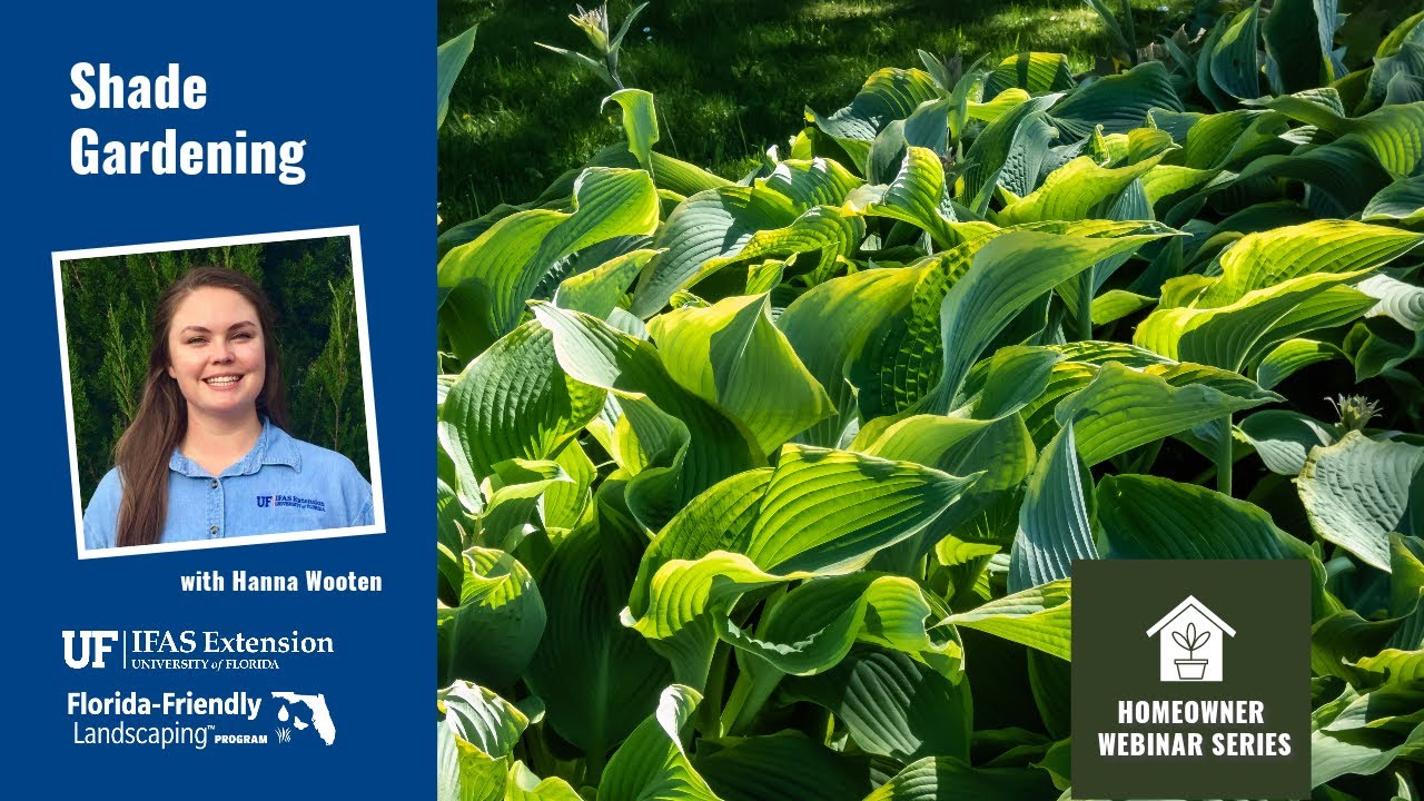 Shade Gardening