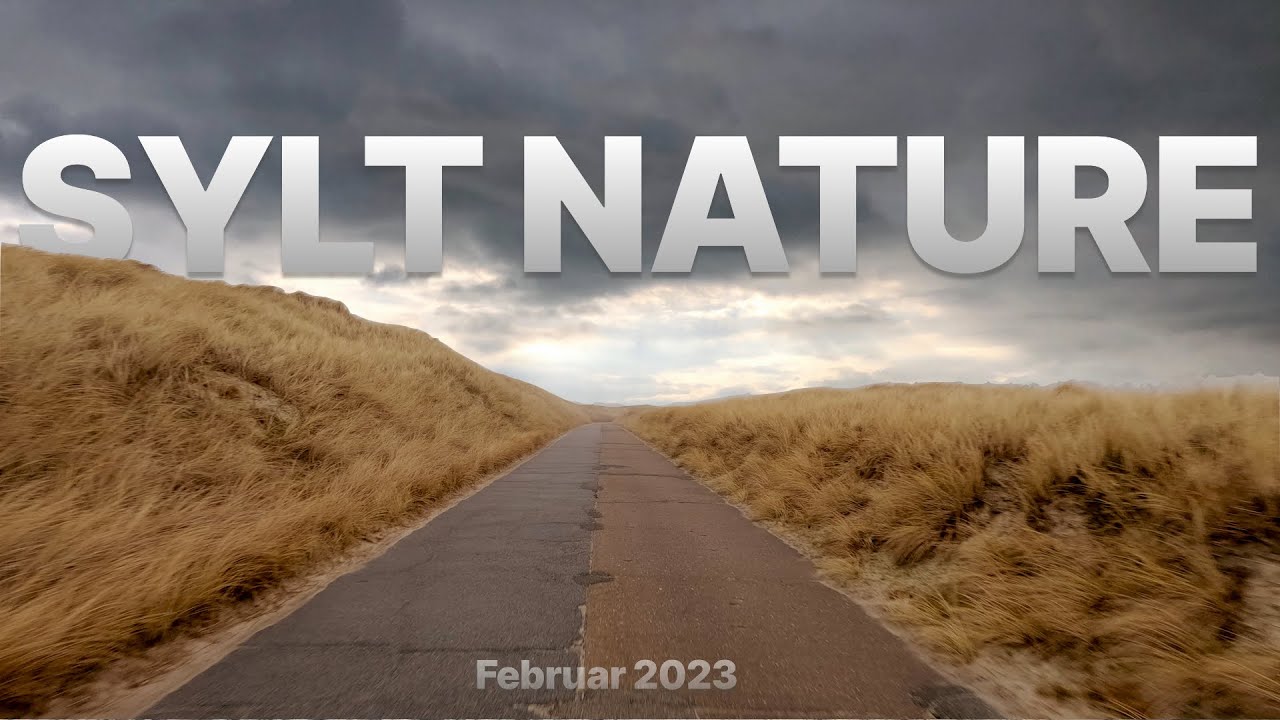 Sylt 2023 (Nature Time Lapse ) 4K