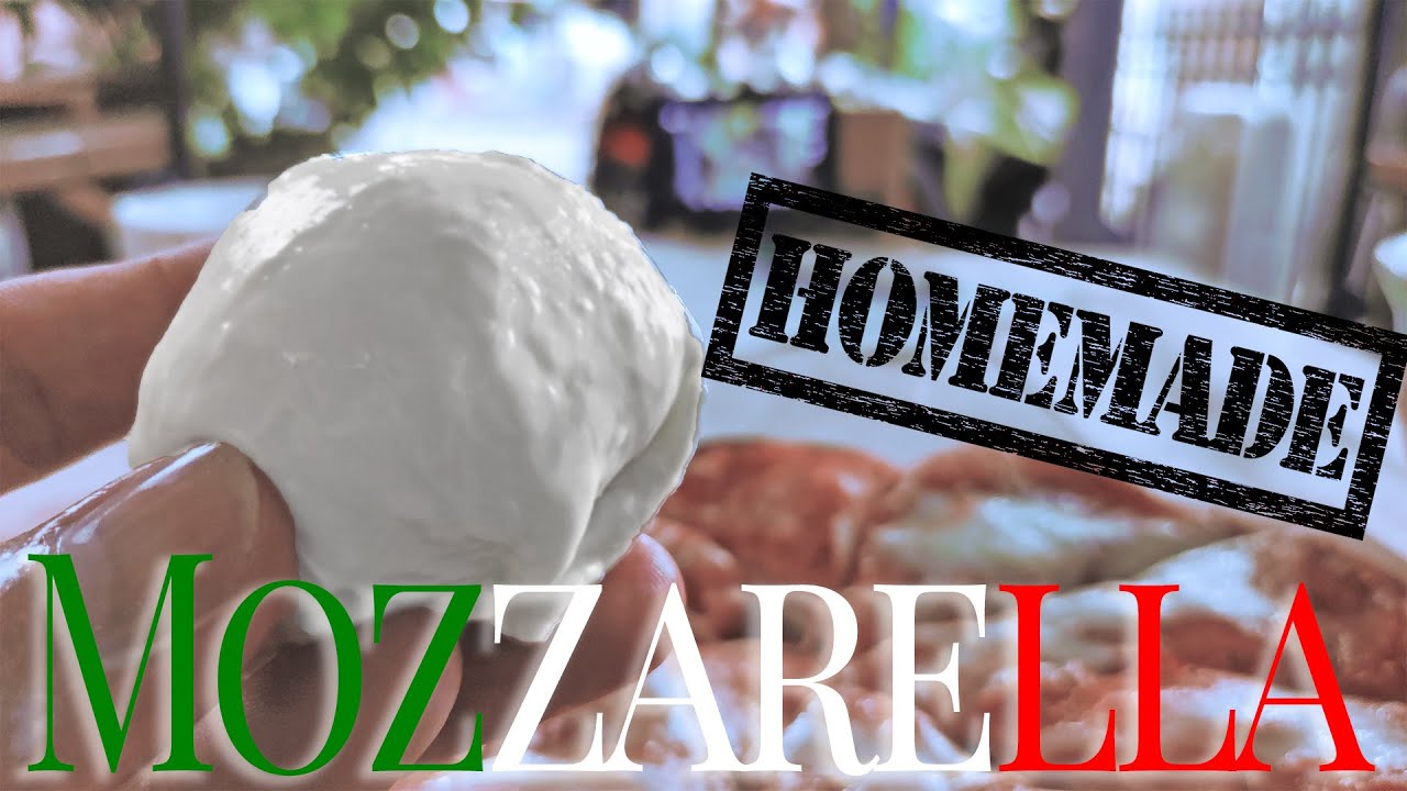 Mozzarella Käse selber machen Aber RICHTIG! ohne Zitronensäure