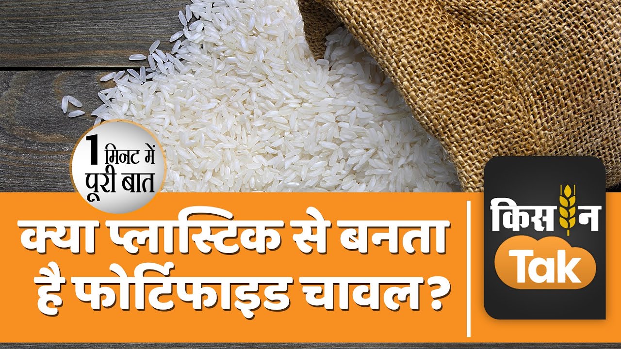 Fortified Rice: क्या है फोर्टिफाइड चावल, जानें इस पर क्यों छिड़ी हुई है बहस |  Kisan Tak