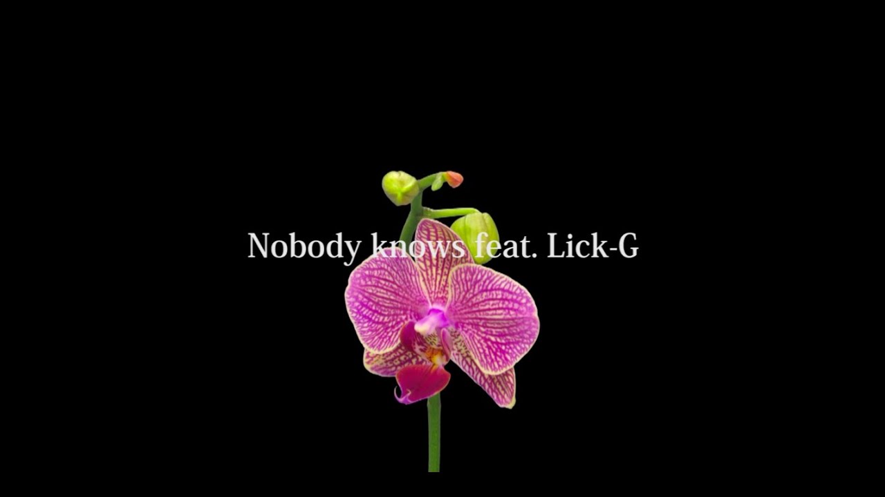 KEN THE 390 / Nobody Knows feat. Lick-G (Lyric Video)
