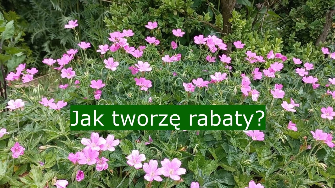 Jak tworzę rabaty?
