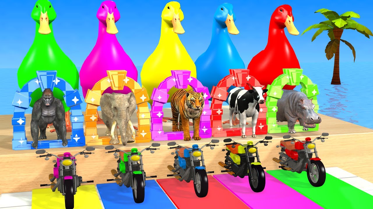 Long Slide Game With Cow Elephant Gorilla Hippopotamus Tiger 3d Animal Game Funny 3d Animals