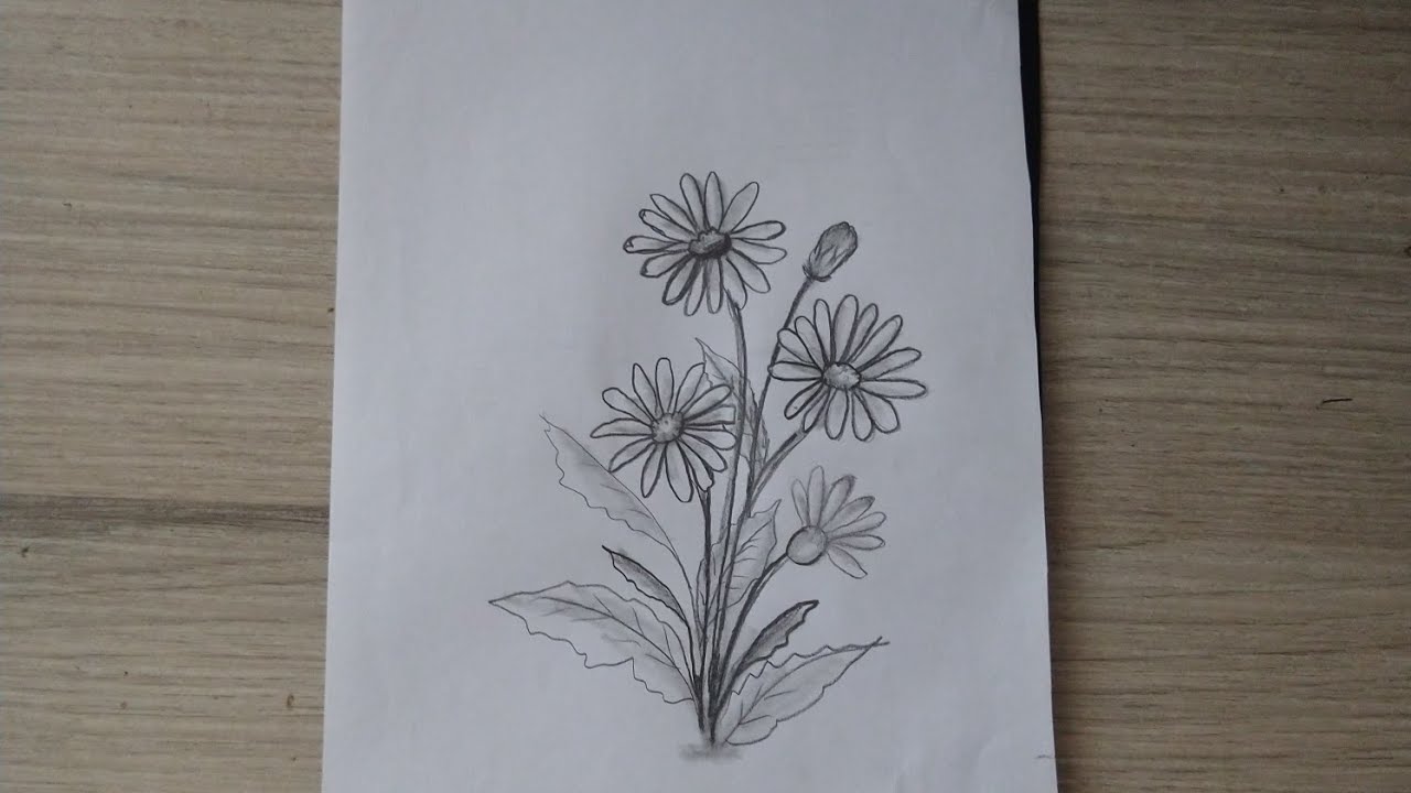 Graphite daisies 