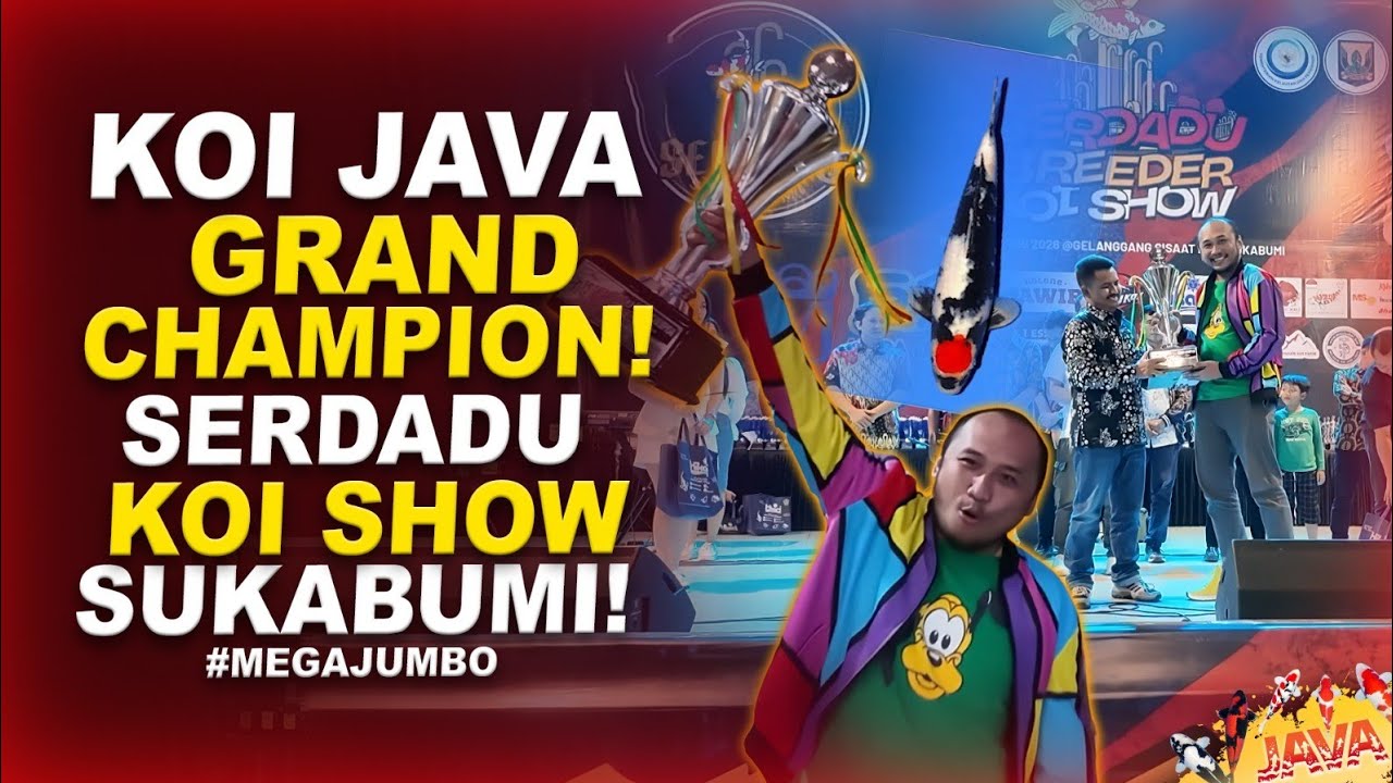 GRAND CHAMPION PERTAMA JAVA DI 2026! - SERDADU KOI SHOW SUKABUMI
