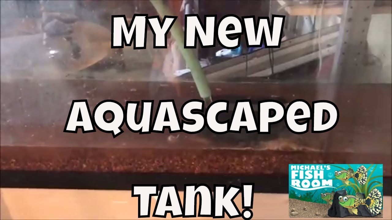 Новый акваскейп: как чистить аквариум Seachem Flourite Fishroom VLOG