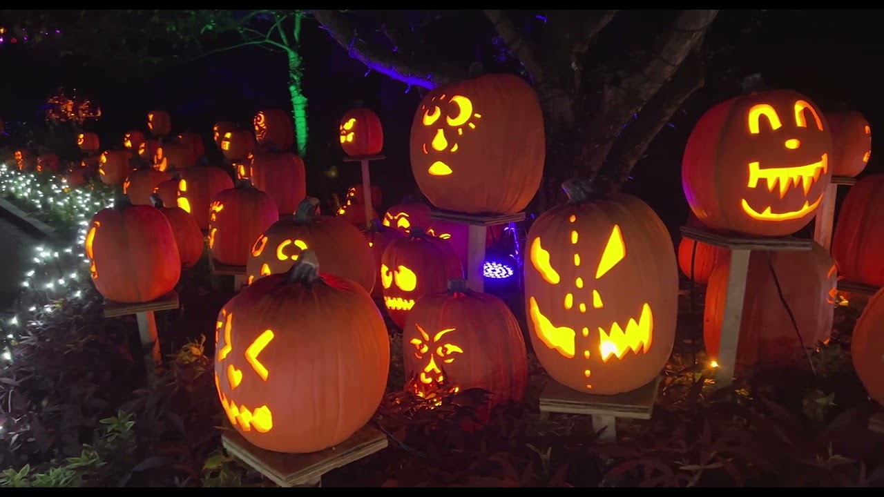 Jack O'Lantern Glow presented by Medpace