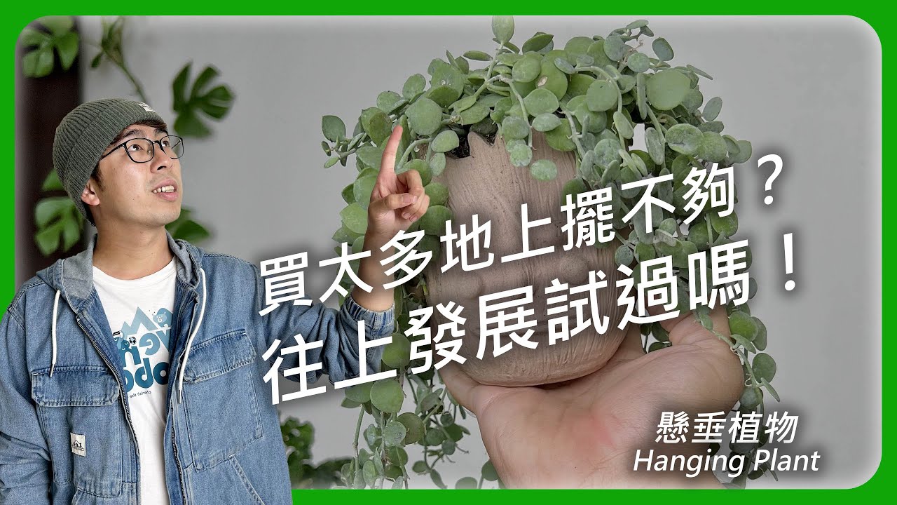 創造更優的空間美感！懸垂植物你的好選擇！ #懸垂植物 hanging plant
