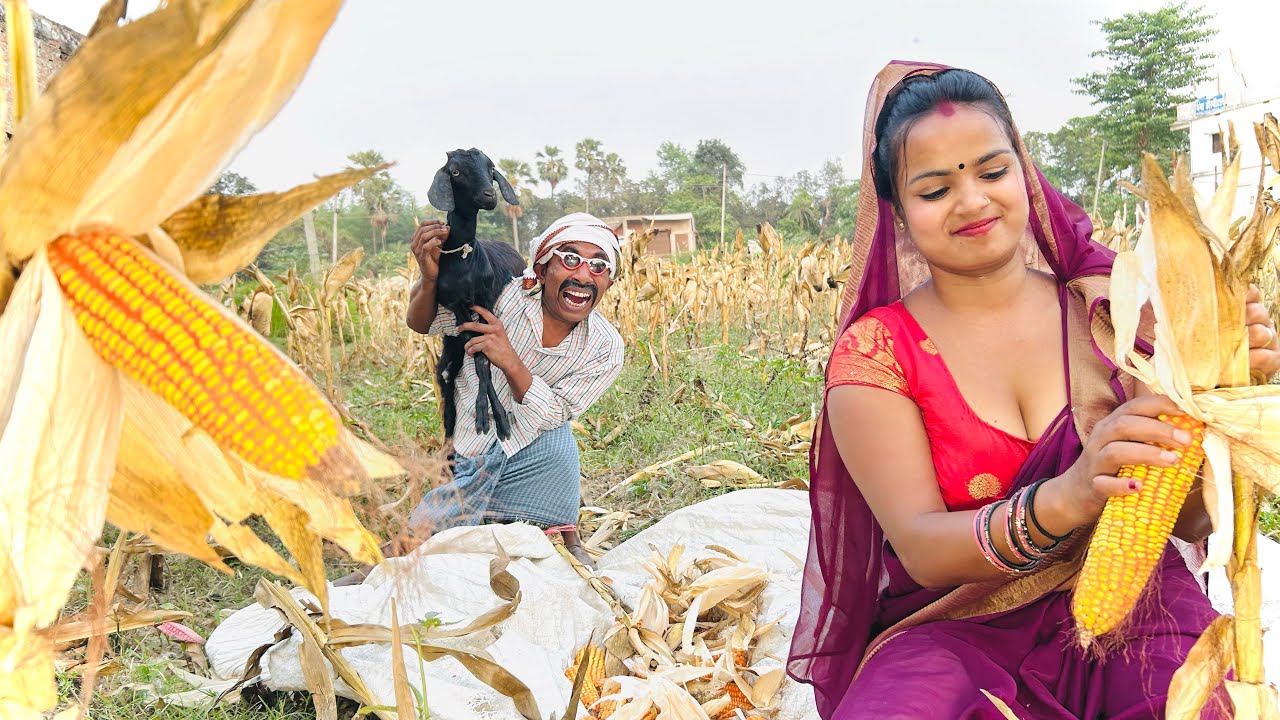 भगवान करे ऐहन कनिया सबके दे #maithili_comedy_dhorba #chunalal