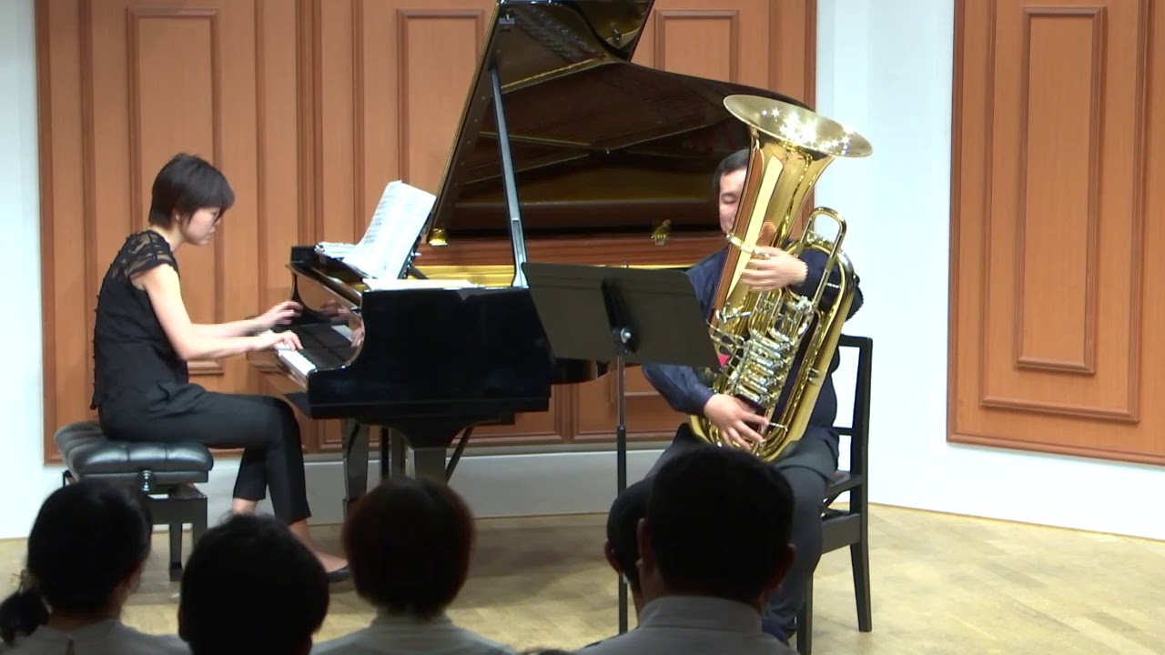 Concertino Mov.1/Jan Koetiser