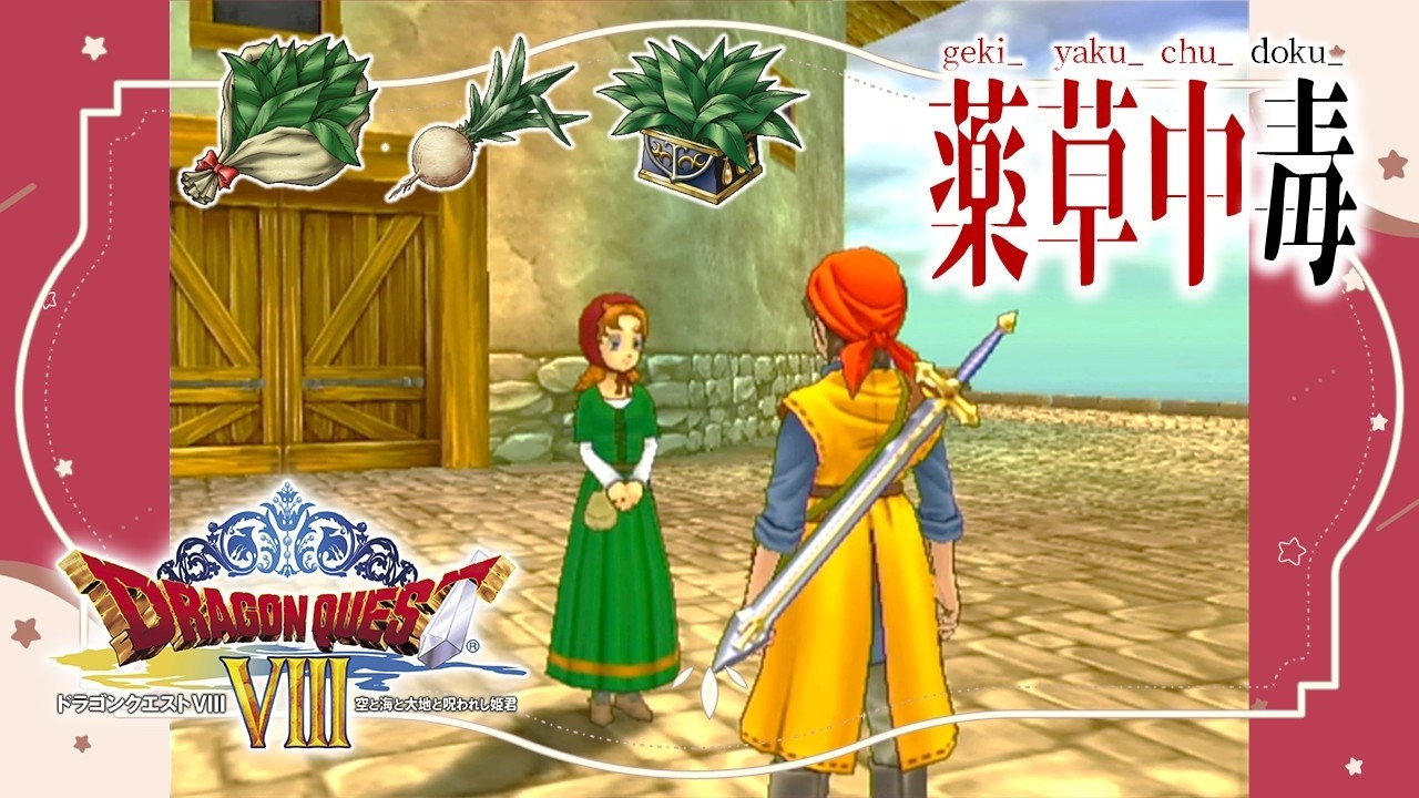 DQ8 RTA（チームメイトを見習い試行）