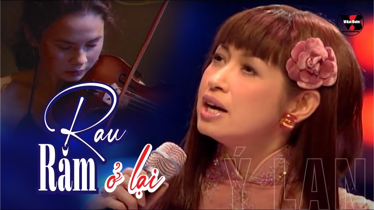 🌹VAN SON Rau Răm Ở Lại - Ý Lan