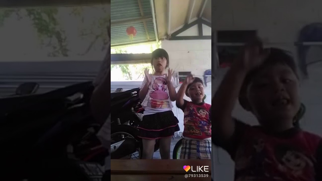 Adik Dan Kakak Terbang