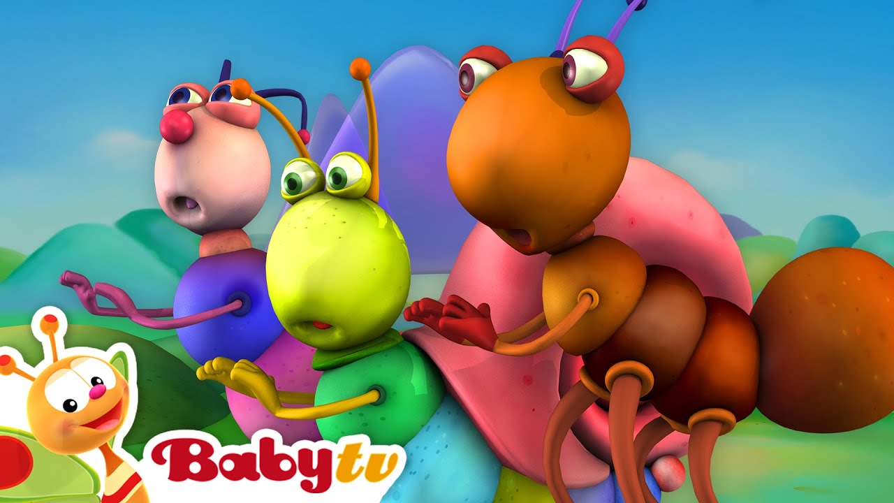 Música árabe com a Big Bugs Band 🐜 🐞 🐛 | Música para bebês 🎵 @BabyTVBR