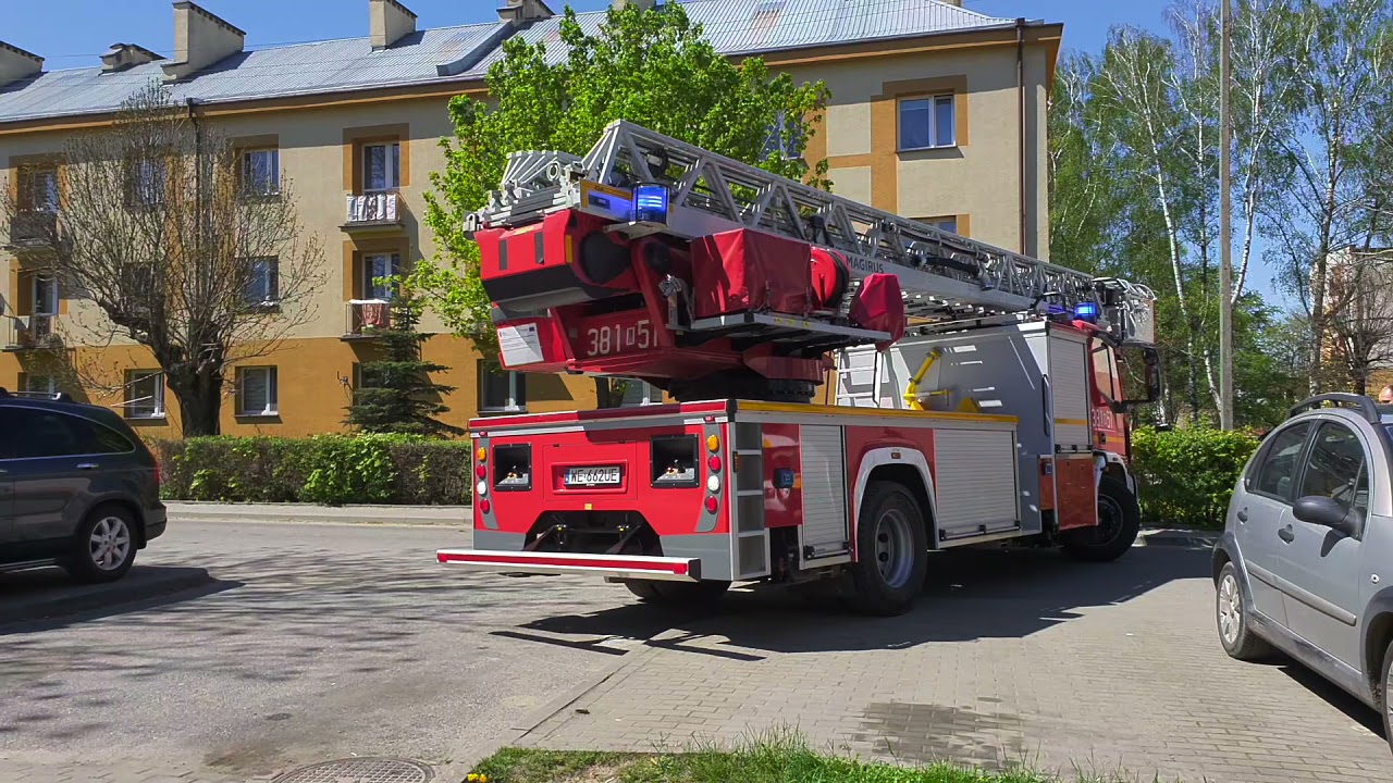 Strażacy ratują kota