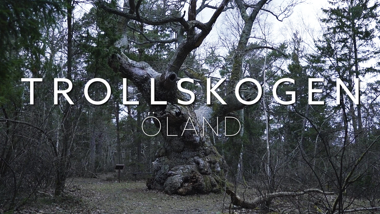 Trollskogen Öland