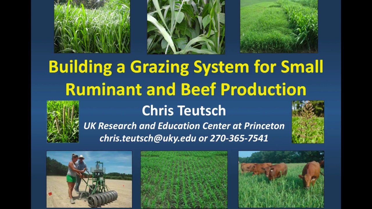Extending Grazing: Whole Presentation