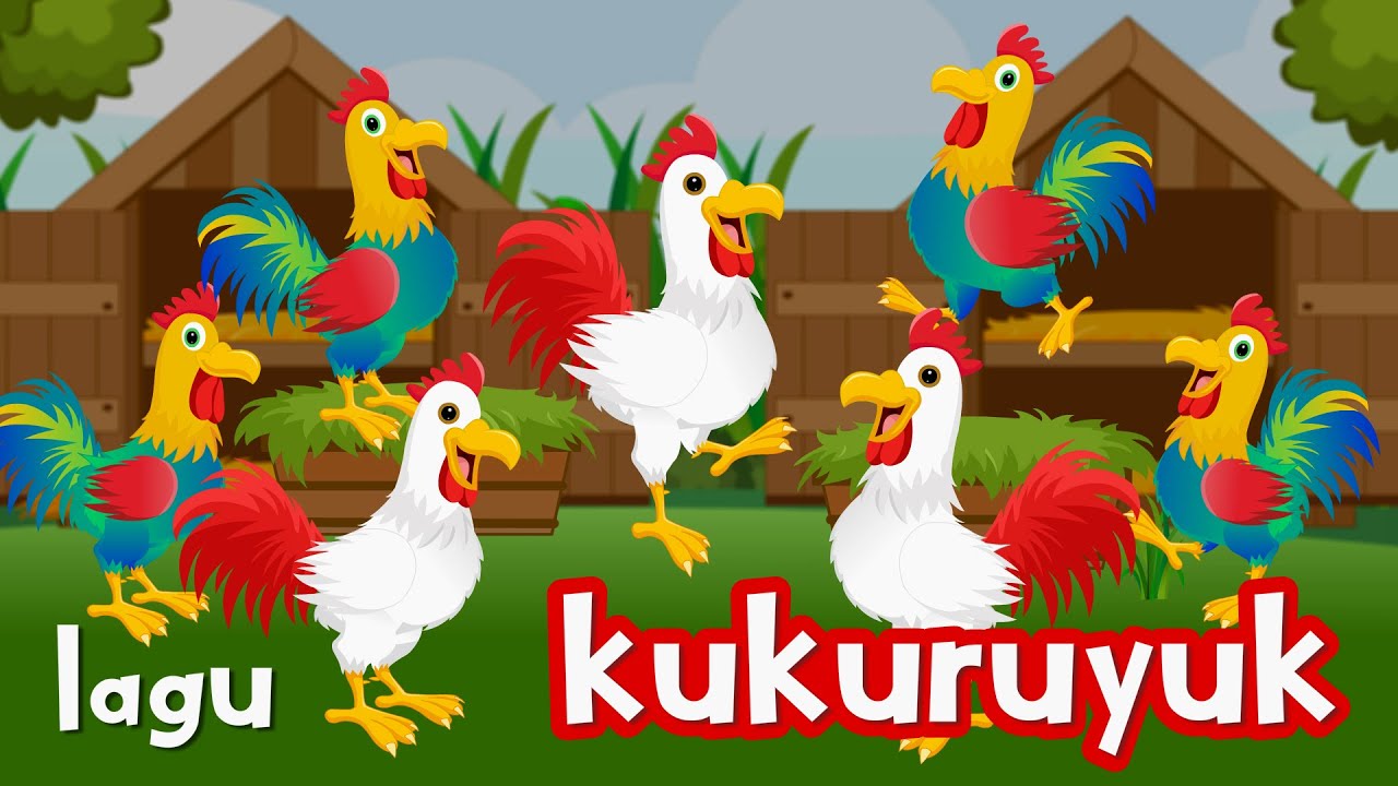 Kuku Kukuruyuk - Lagu Ayam Jago Terpopuler 2023