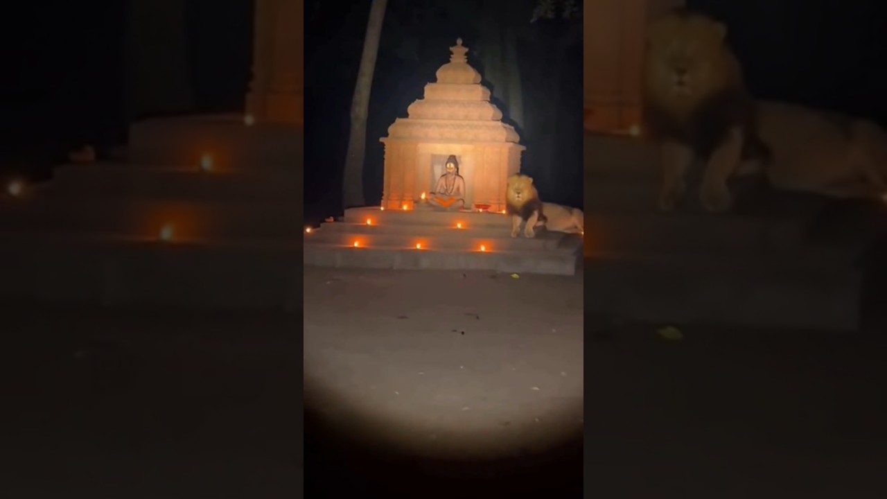 Even the lions bowed down 🙏 The secret of Sadhu Baba's divine power 