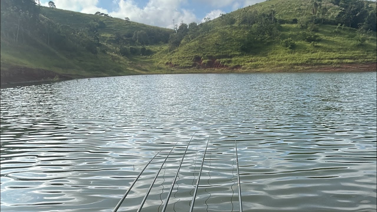Pescaria de tilápias 🎣🔥 Novo ponto de pesca na represa !! #tilapia #pescaria 