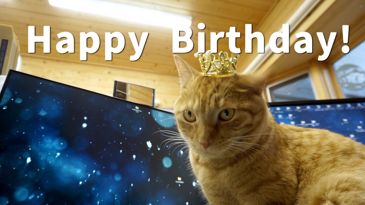 レグさん1歳の誕生日！ の写真を撮影するミッション