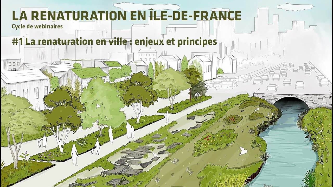 La renaturation en ville : enjeux et principes