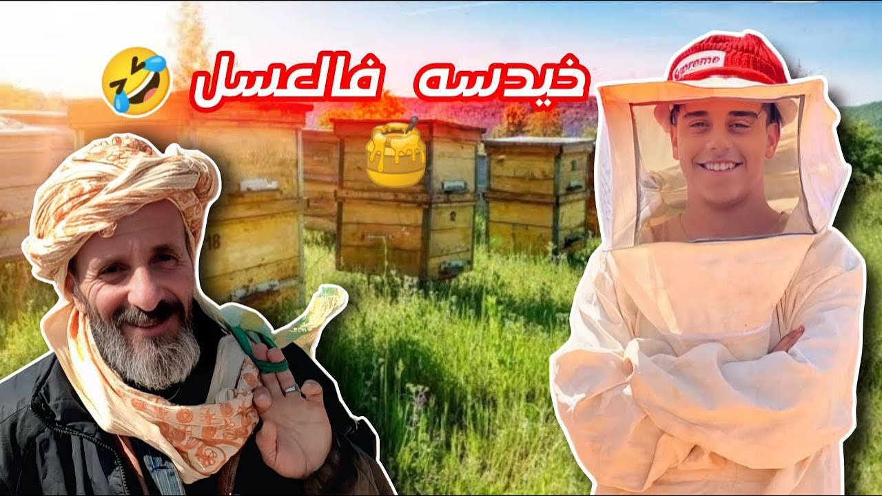 لعسل راه مغشوش 😂🍯🐝 (#sketch_Officiel) #في_المحتوى_الرائج_الفني. ☎️ 0791648553