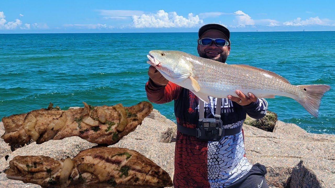 Sight casting schools of Redfish at the Jetties! (Catch and Cook)** Fish Pass Corpus Christi Texas