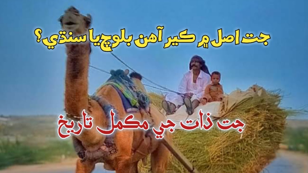 جت ذات وارن جي مڪمل تاريخ. Jatt Cast Full History