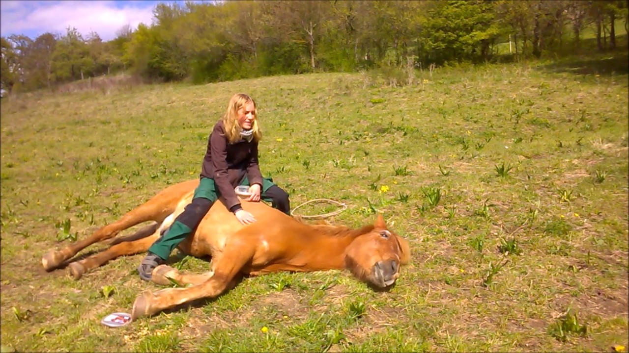 [horsegirlship 54] Carina & Pedro & Lavinia: Kuscheln mit Pferden 2017