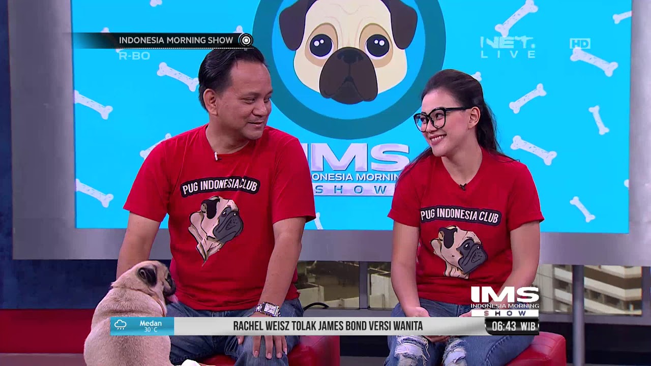 Pug Indonesia Club, Komunitas Pecinta Anjing Pug