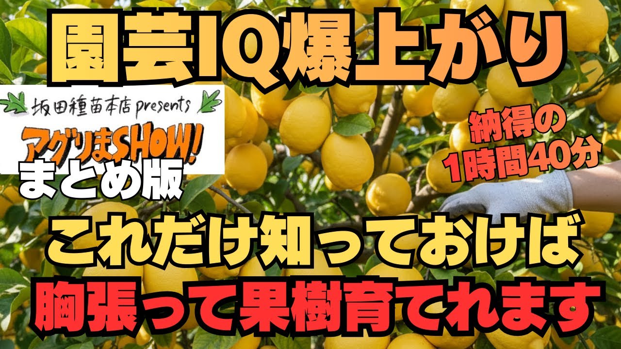 【有料級1時間30分越え】大量に美味しい果樹採れます　アグリまSHOWまとめ