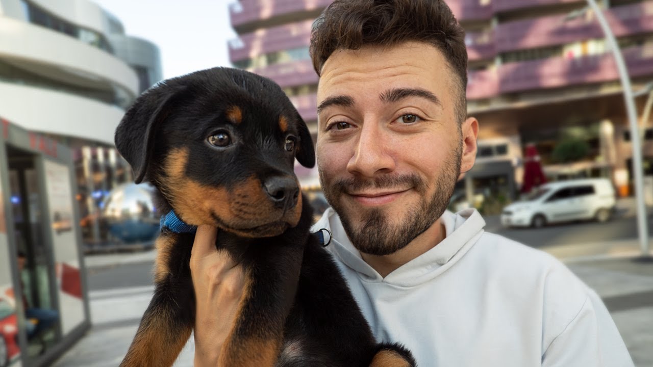 ''ALFA''  🐶 (Dünyanın En Cesur Köpeği)