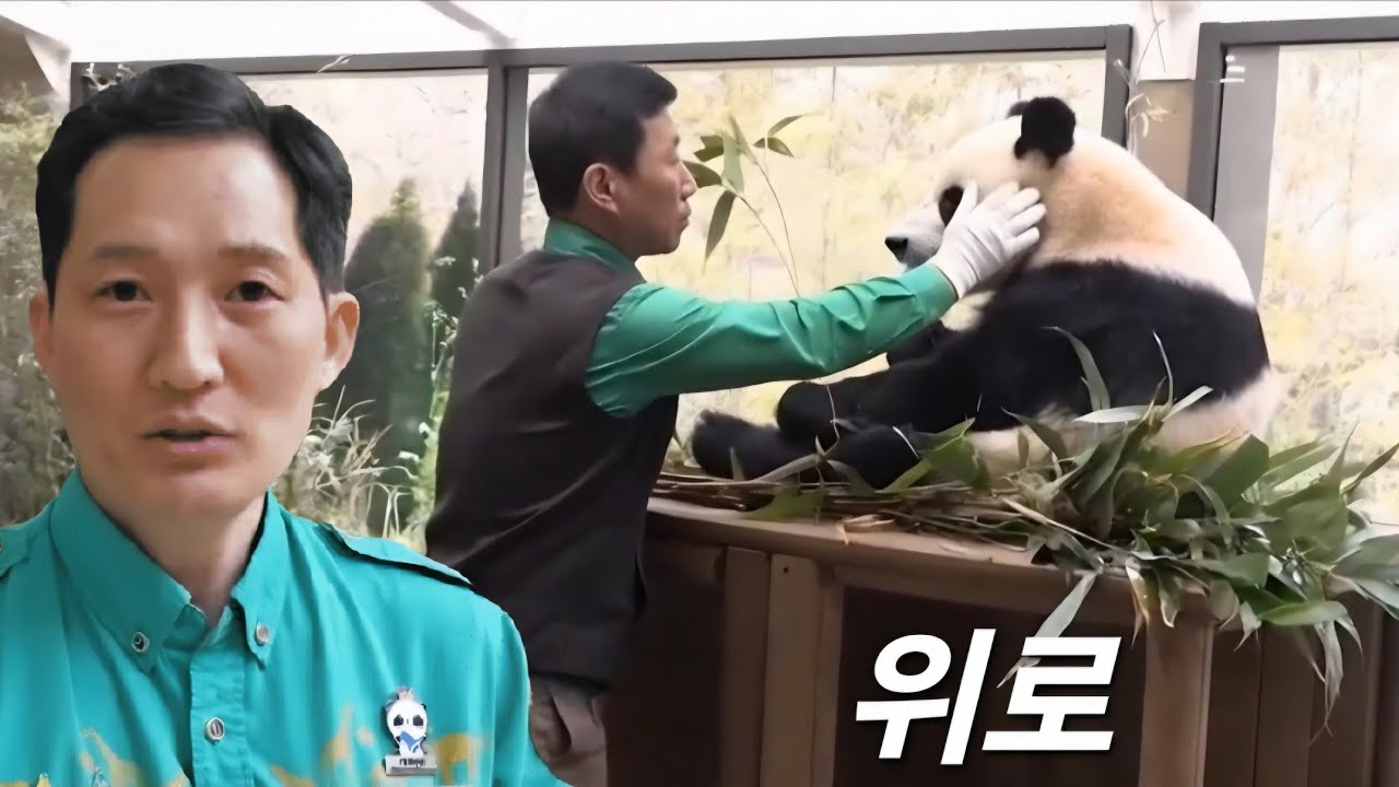 세컨하우스 3월17일 독립하는 후이를 위로해주는 할부지 