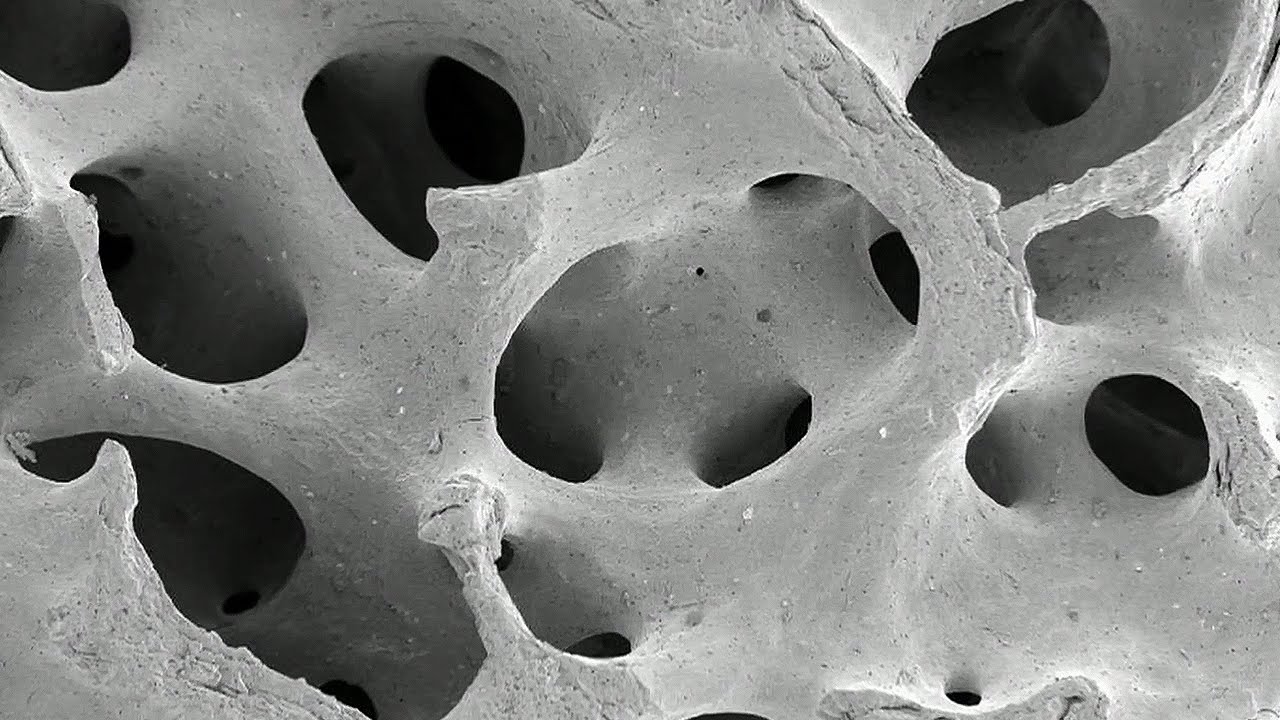 Creating Bones From Glue | Bang Goes The Theory | Earth Science