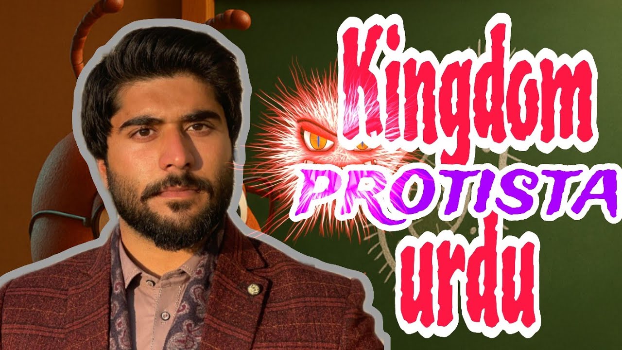 Kingdom protista /characteristics of protists in Urdu,