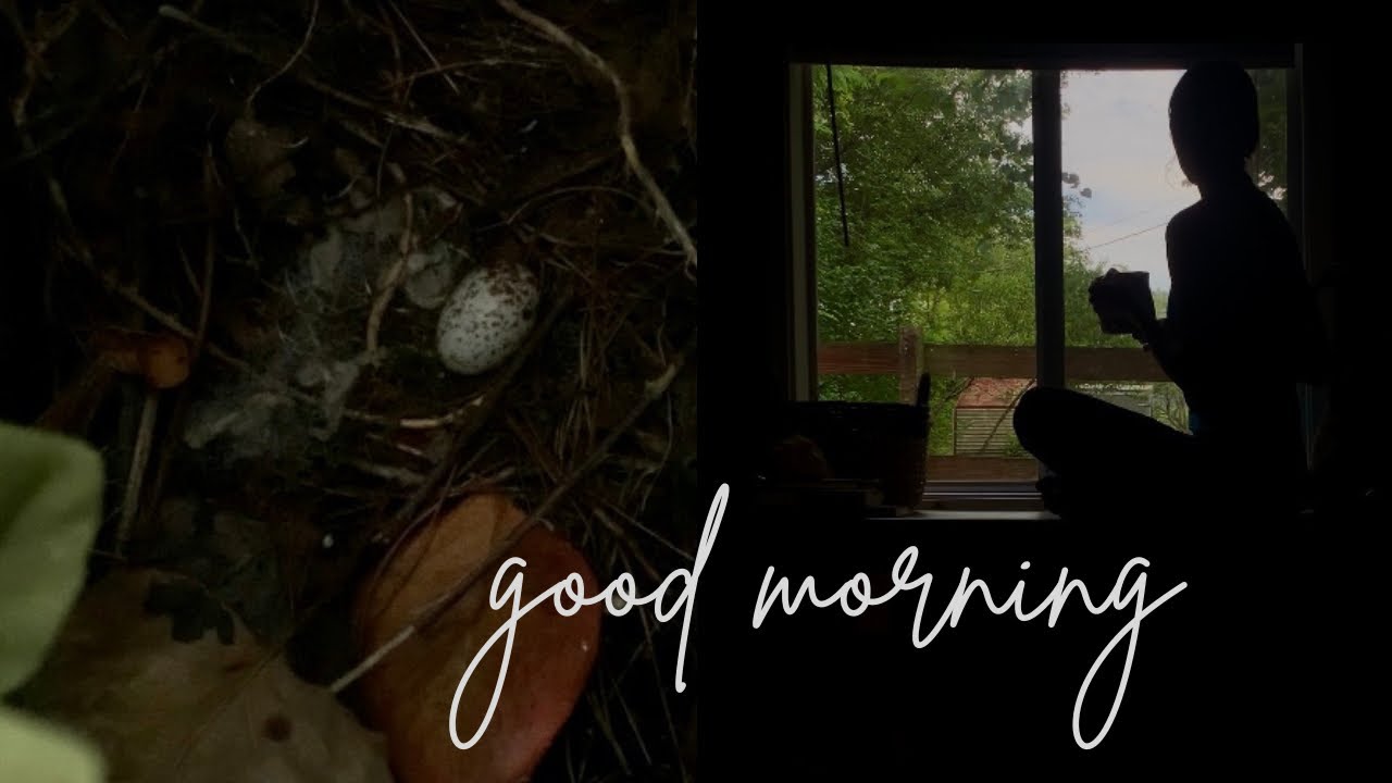 glimpses of a calm morning ✨