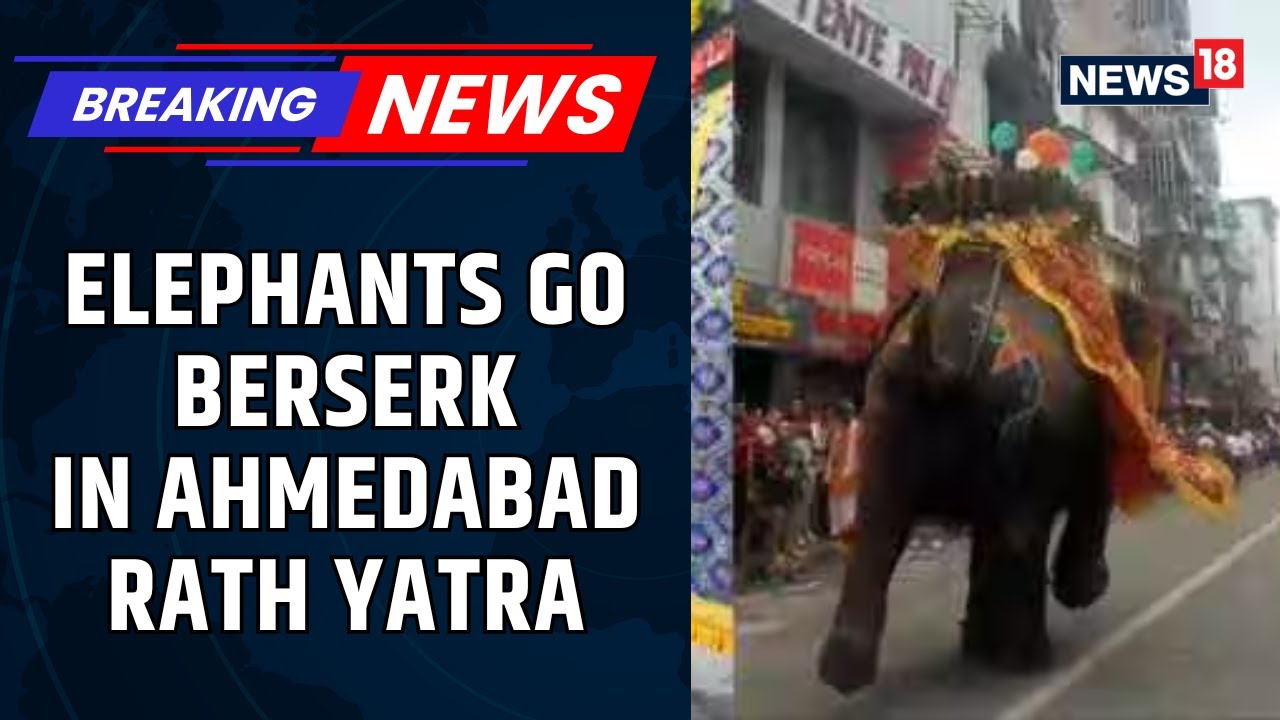 Rath Yatra Procession Disrupted As Elephant Goes Berserk In Ahmedabad | Ahmedabad Rath Yatra