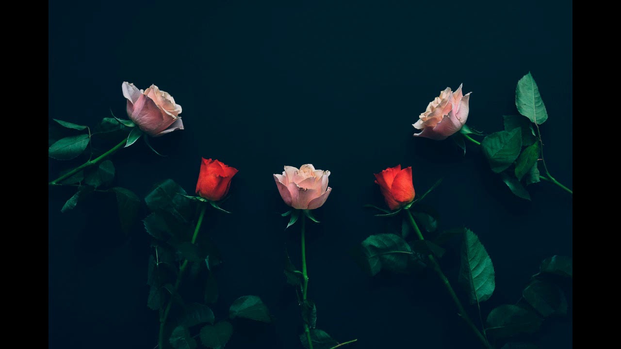 Under the Rose - Flower Shop Role Play ASMR