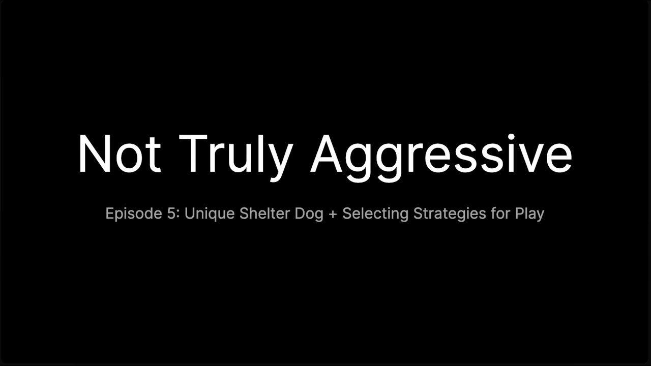 Not Truly Aggressive Episode #5: Unique Shelter Dog + Selecting Strategies for Play
