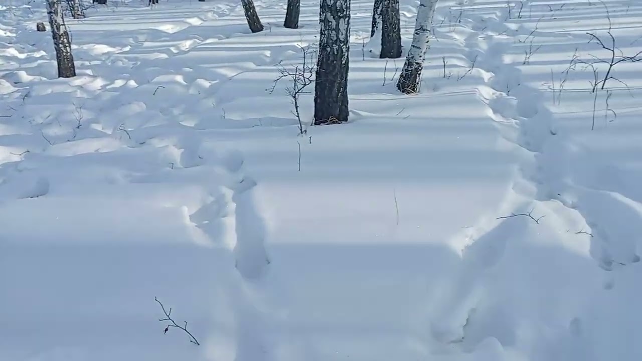Вернулся из германии пасти скот..