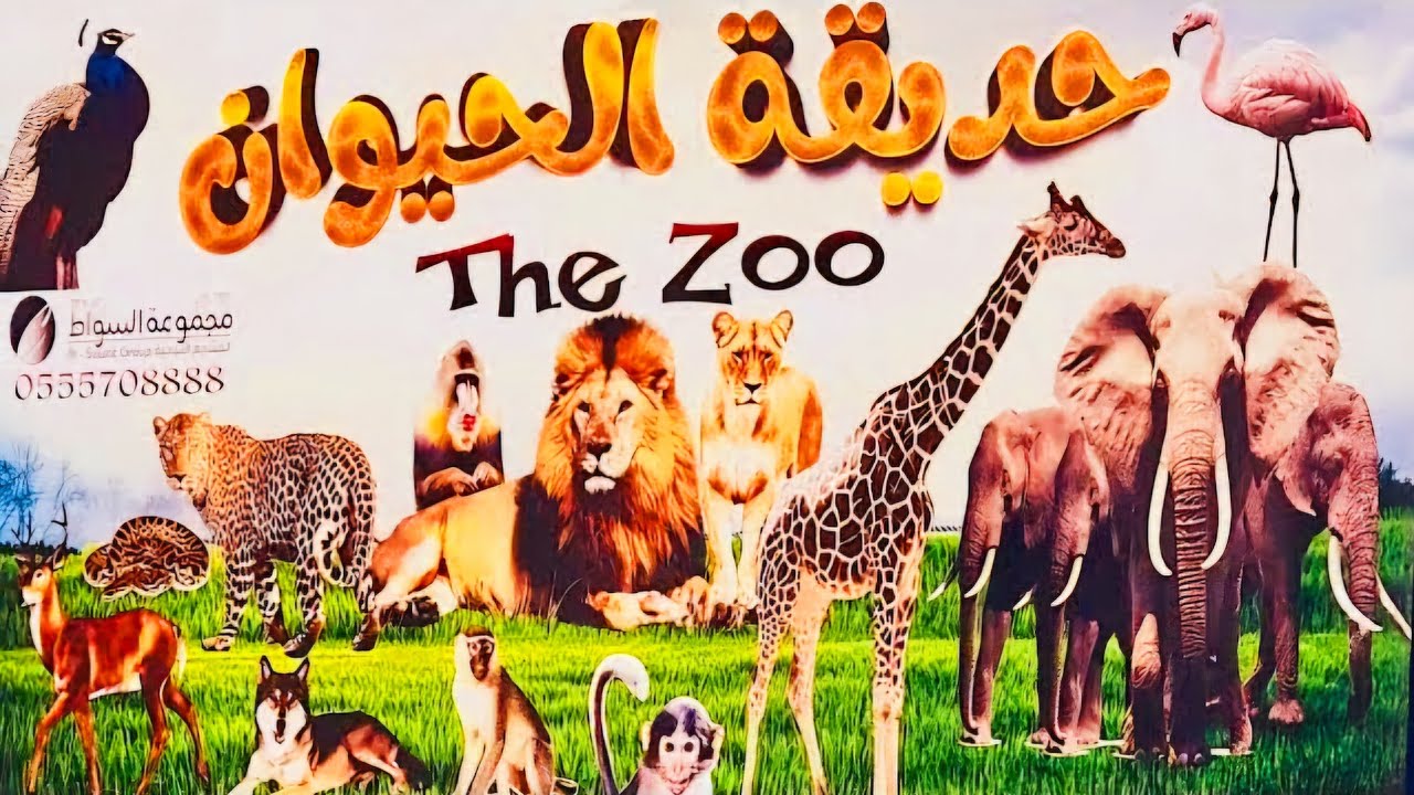 جولة في حديقة الحيوان بالطائف لا تفوتكم من الاماكن المميزه لخروجات الطايف