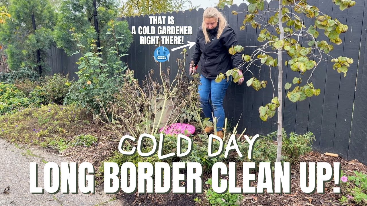 A Cold Day of Winter Garden Cleanup in the Long Border 🥶