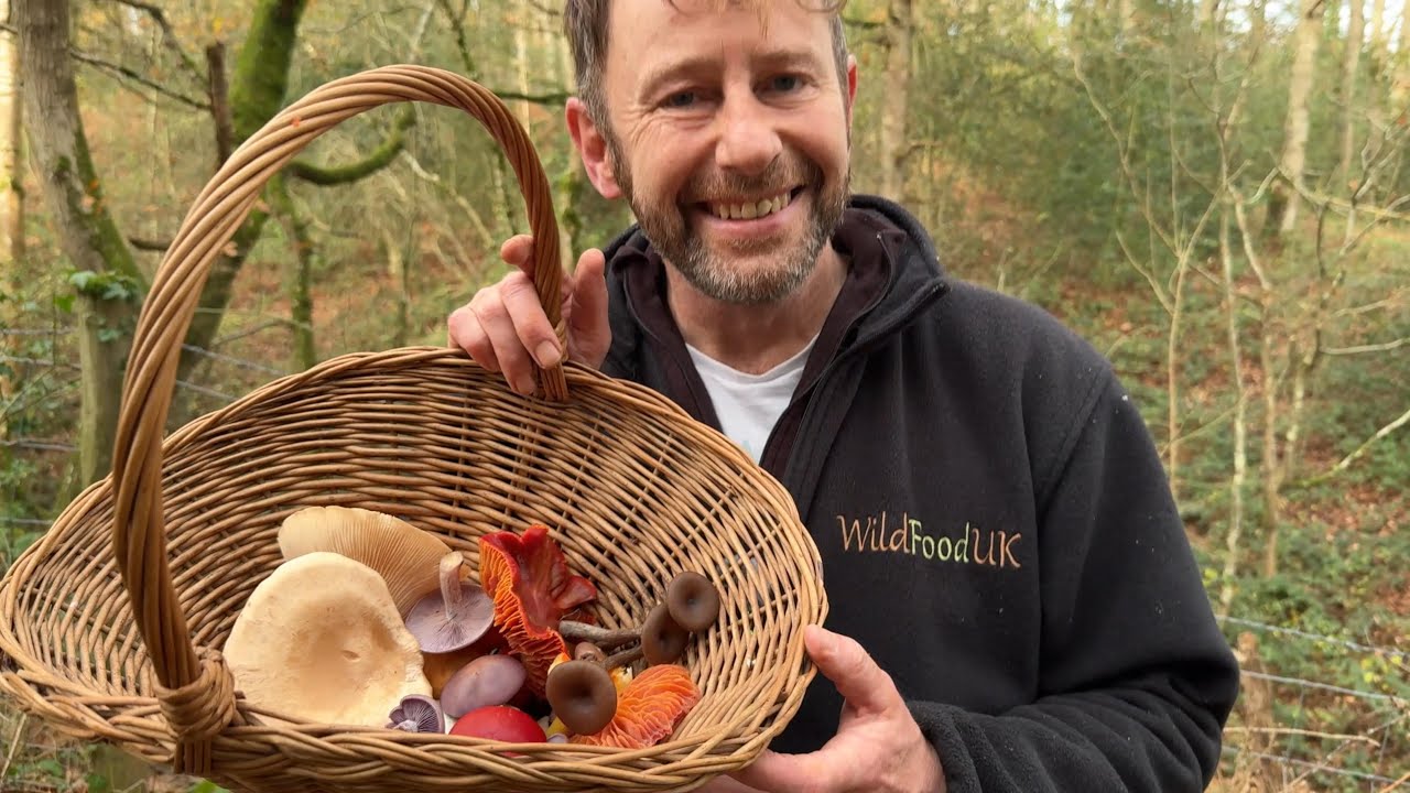 Colourful and Tasty November Mushrooms.