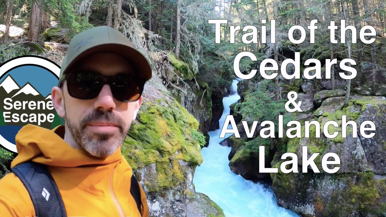 Trail of the Cedars & Avalanche Lake, Glacier National Park