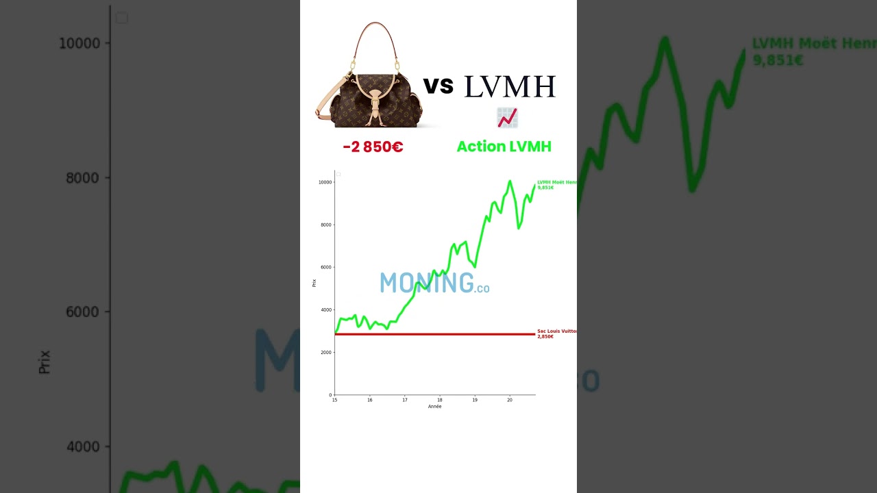 Sac Louis Vuitton VS Action LVMH #lvmh #finance #argent #luxe #mode