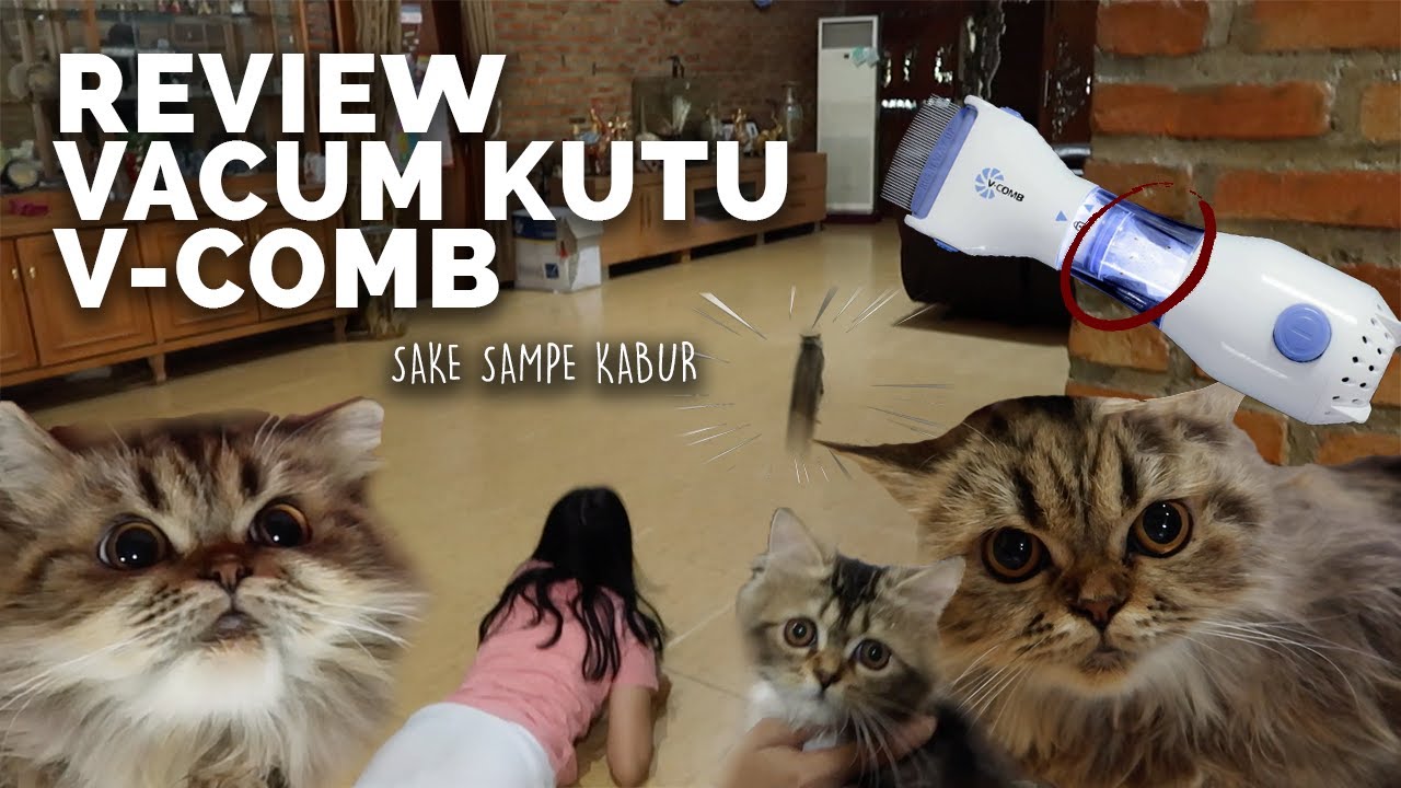 UNBOXING VACUM KUTU ANABUL (V-COMB)