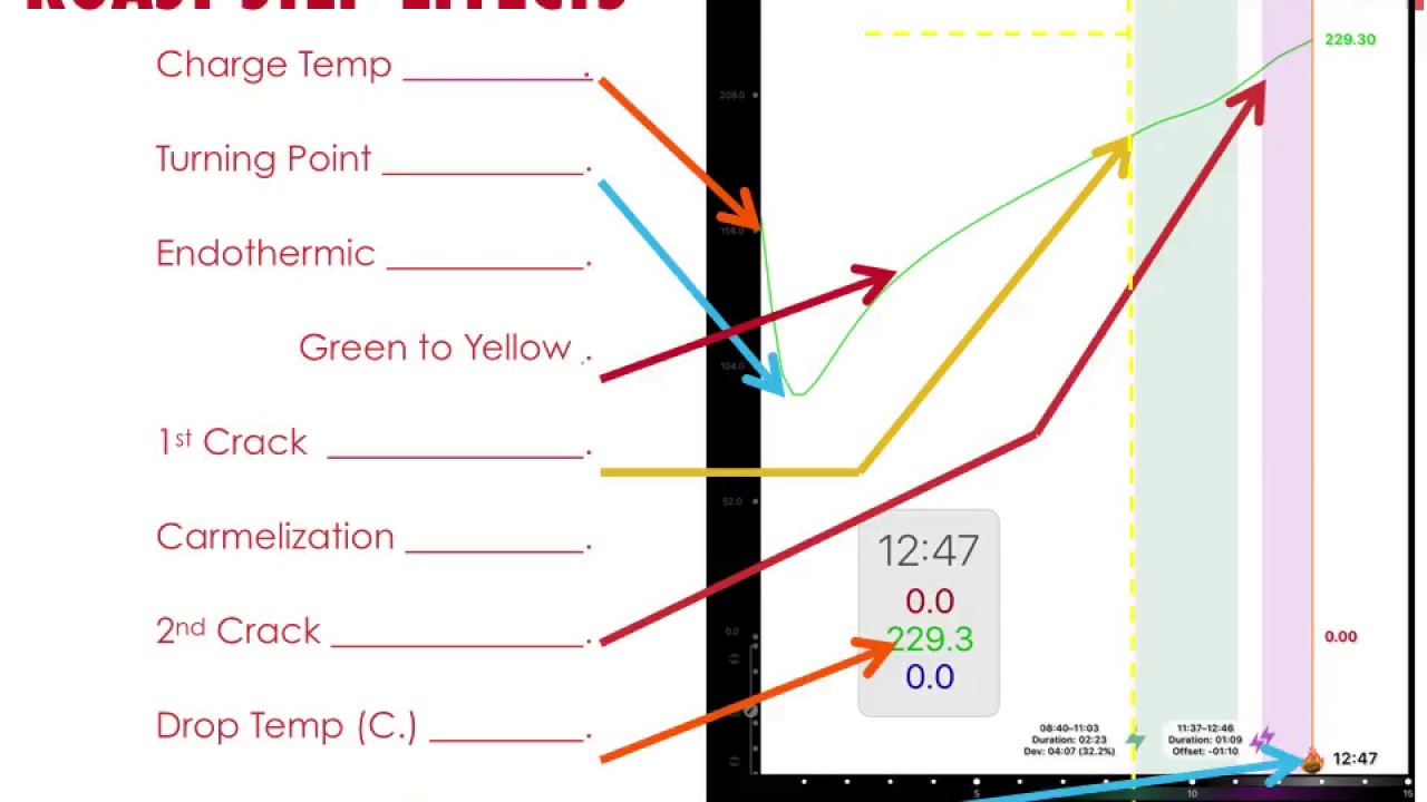 SCA Roasting Foundation - Part 3 - Sharing my old PowerPoint slides with content explanations.
