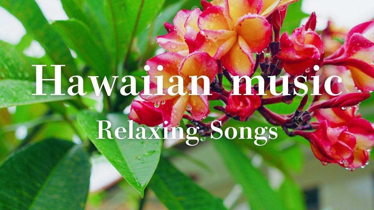 【LIVE】週の真ん中にひと休み 🌺 穏やかなハワイアン音楽でリラックス 🌴 Study・Work・Relax