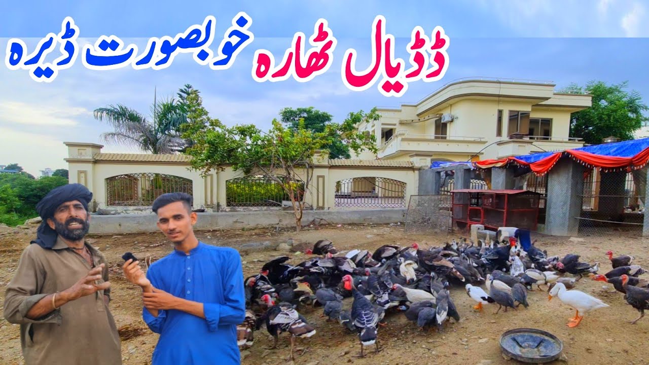 Beautiful Dera|Thara Dadyal Azad Kashmir|Thara Village|Apna Kashmir